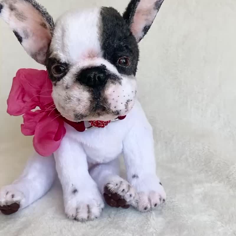 フレンチブルドッグ、ぬいぐるみ、リアルなおもちゃ - ショップ