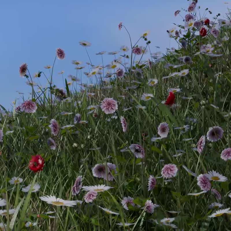 OVERDIGI x 麗莎和卡斯柏聯名_帆布托特包 - 側背包/斜背包 - 棉．麻 