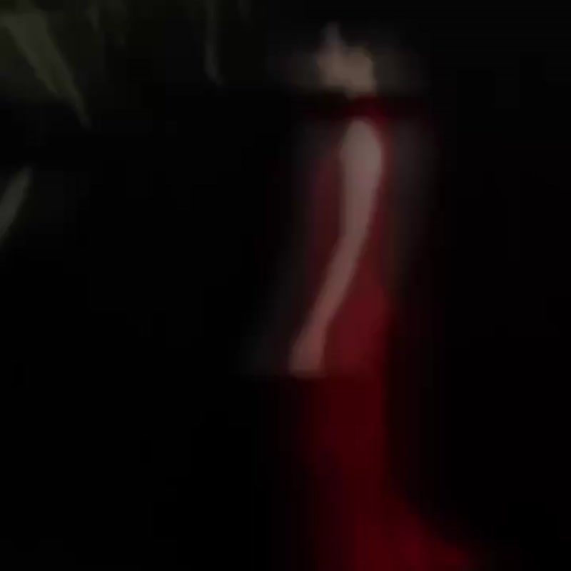 紅色蕩領無袖長款垂褶連衣裙小眾修身新中式禮服 - 洋裝/連身裙 - 其他材質 多色