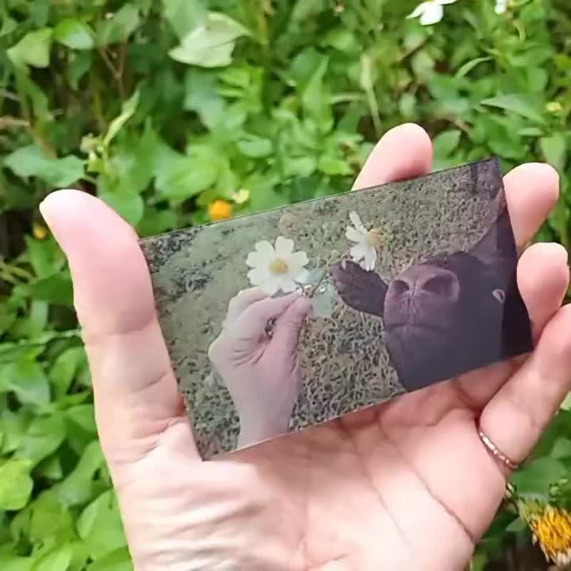 Where there is danger, there is salvation. Taiwan Black Goat Miniature Black Goat eats Stilula japonica. Double changing picture card - ที่คั่นหนังสือ - พลาสติก สีเขียว