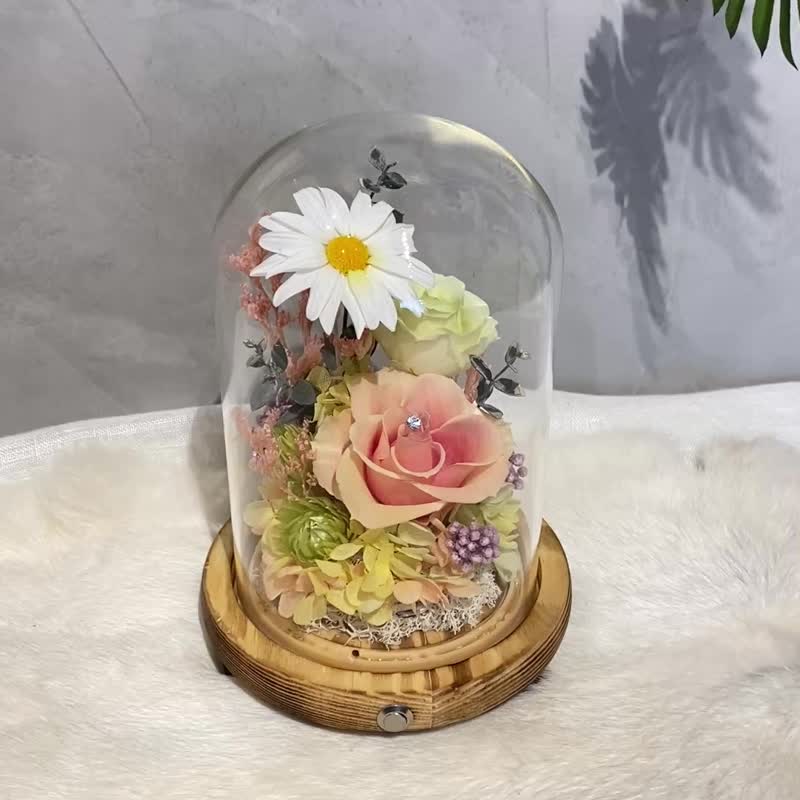 小夜燈永生花 情人節 七夕 告白 瑪格麗特 - 乾燥花/永生花 - 植物．花 橘色