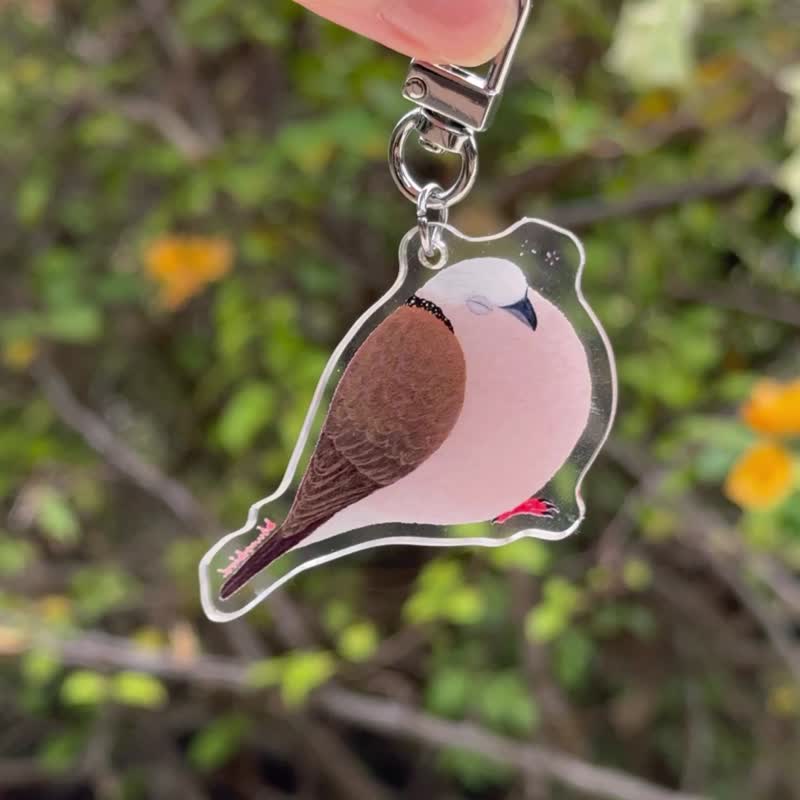 珠頸斑鳩壓克力掛件匙扣 瞌睡鳩 咕姑固 - 鑰匙圈/鎖匙扣 - 壓克力 粉紅色