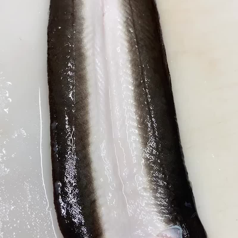 【生生】特大尾 外銷日本白鰻 400G 鮮鰻片獨享包 - 其他 - 其他材質 紅色