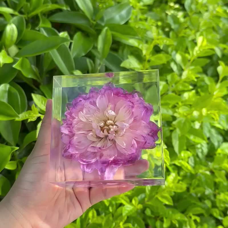 Purple dahlia dried flower arrangement handmade plant specimen gift - Items for Display - Resin Purple