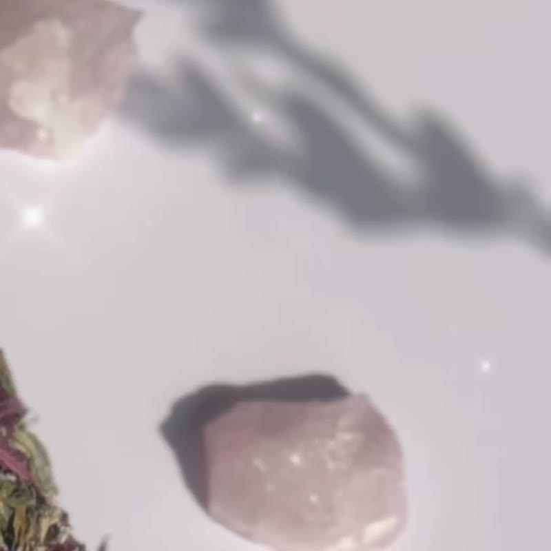法國Totem Nature 有機淨化薰香 【野兔花束+瓷盤】套装 - 香氛蠟燭/燭台 - 植物．花 
