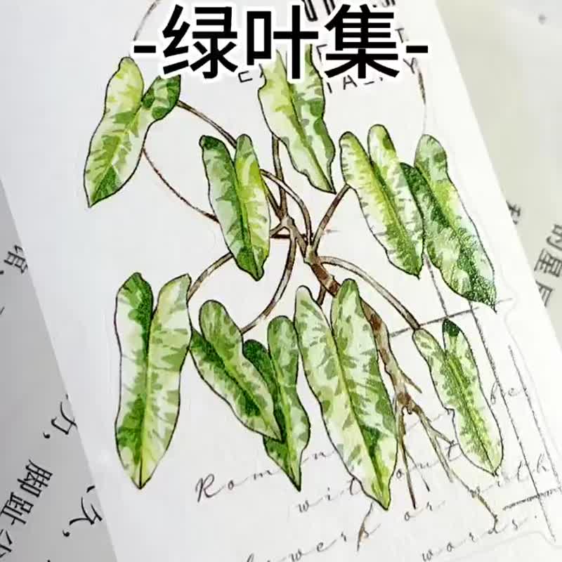 綠葉集 - PET和紙膠帶清新觀葉植物葉子DIY手帳日誌裝飾素材 - 紙膠帶/和紙/PET - 紙 多色