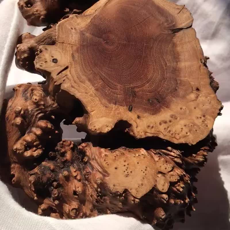 實木 原木 麻利疙瘩木 底座 樹根 造景杯墊 茶道 樹枝 根雕 - 擺飾/家飾品 - 木頭 咖啡色