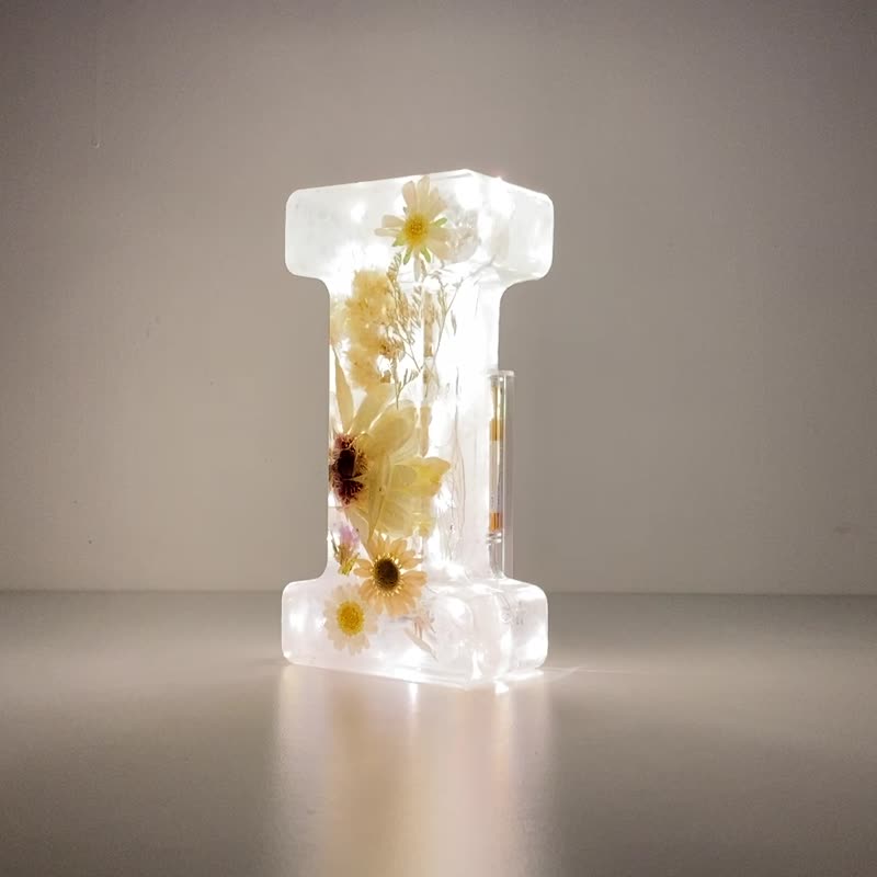 乾花樹脂燈 配白色暈染 - I - 燈具/燈飾 - 樹脂 白色