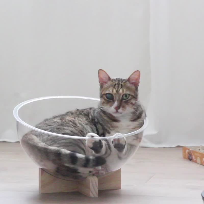 宇宙カプセル型 猫ベッド│2色展開│アクリル製×木製台座│床置き│透明│台湾製 - 寝具 - 木製 透明