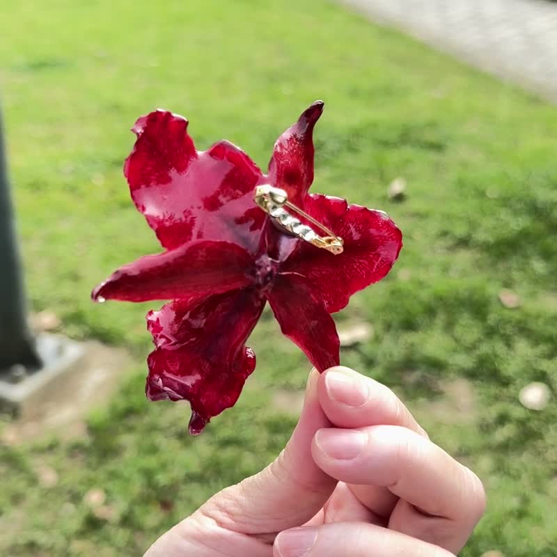 嘉德麗亞蘭花胸針/真花飾品/蘭花飾品 - 胸針 - 植物．花 
