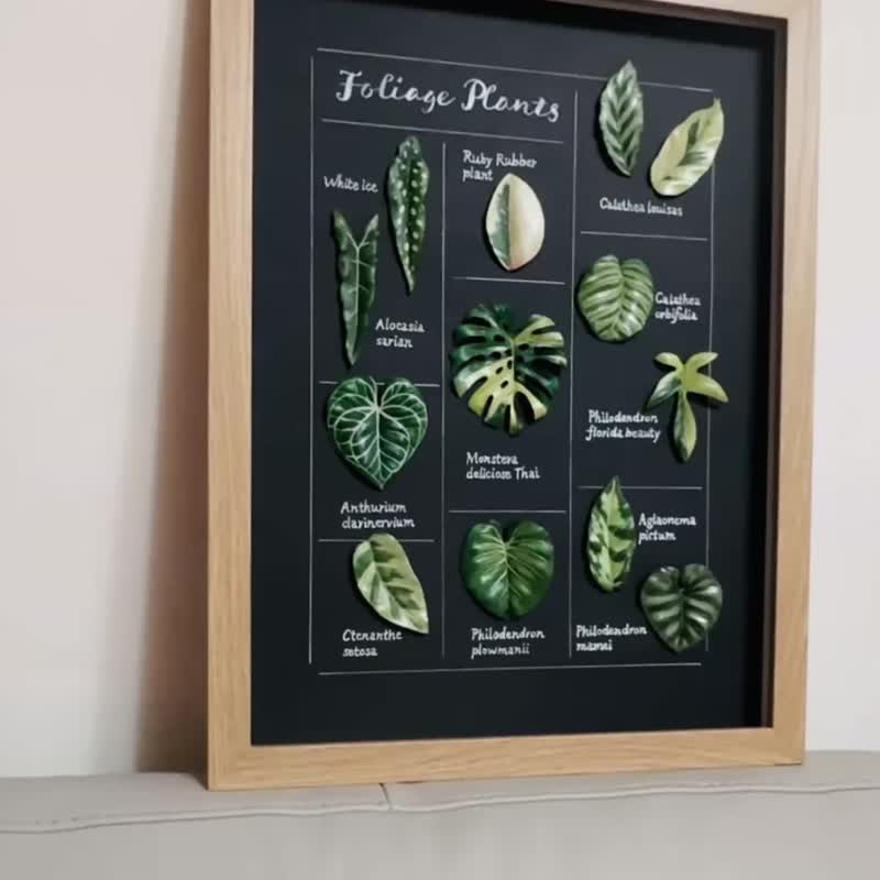 觀葉植物皮革相框 - 壁貼/牆壁裝飾 - 真皮 