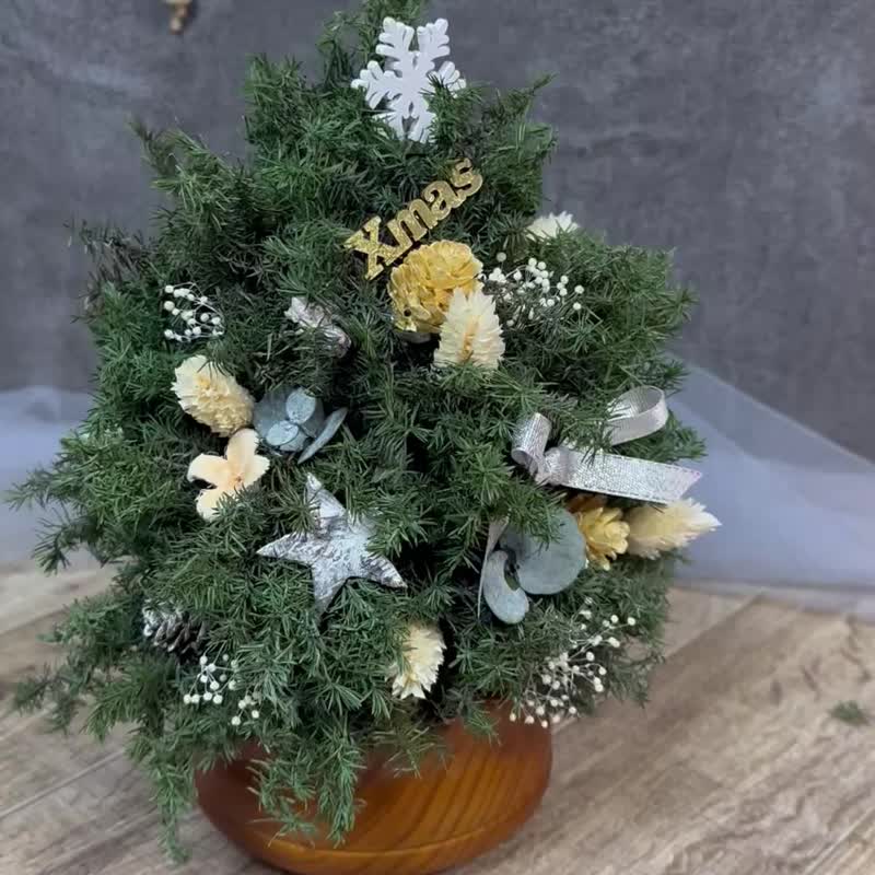 KL-Rotating Musical Christmas Tree - เพลงอินดี้ - พืช/ดอกไม้ 