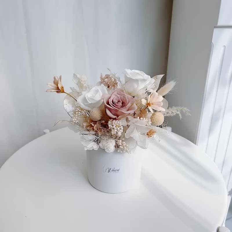 溫柔低彩度中型永生盆花 開幕桌花教師節 - 乾燥花/永生花 - 植物．花 卡其色