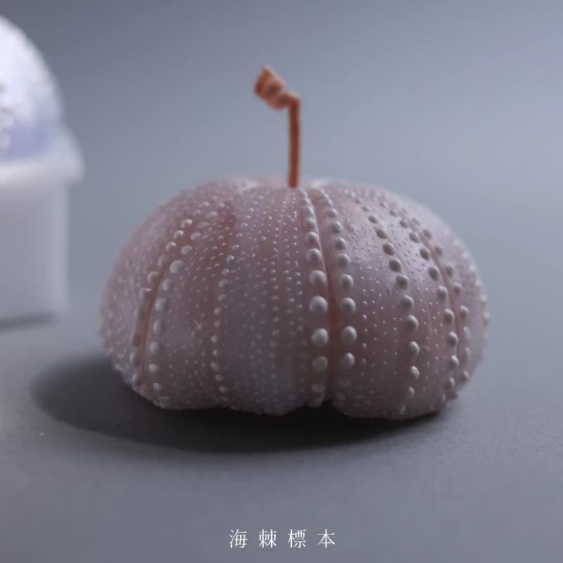 Little Treasure蠟燭證書課程 進階技巧 初學者也成功 - 蠟燭/香氛/調香 - 蠟 