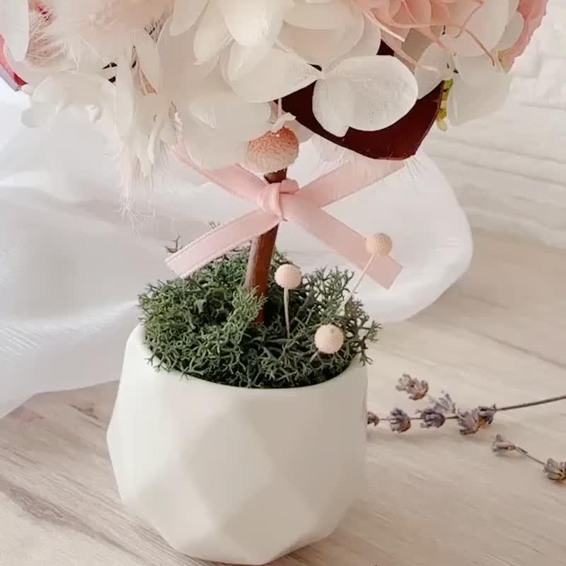日本永生玫瑰花_許願擴香花球樹 - 乾燥花/永生花 - 植物．花 