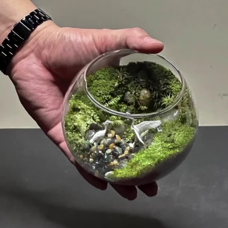 溪澗之鶴 / テーマ性カスタムメイド景観生態シリンダー - 観葉植物 - 寄せ植え・花 