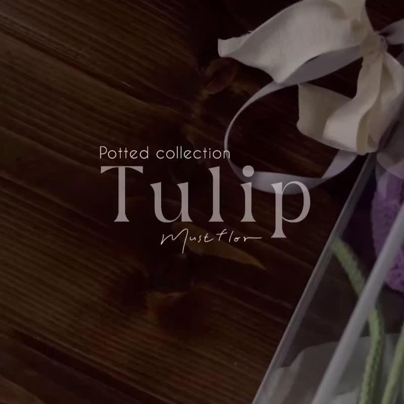 Tulip Purple Potted Flower-Handmade Knitted Flower - Items for Display - Cotton & Hemp Purple