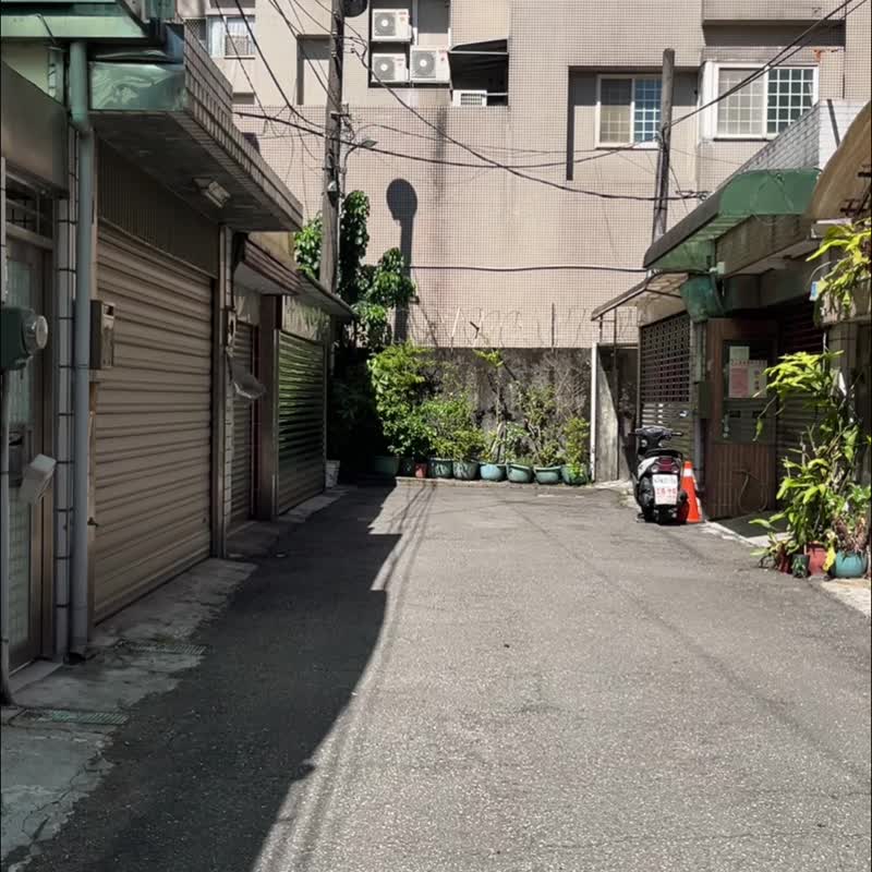 【客制】達摩不倒翁-橘子/貓咪鬍鬚收集器/貓咪臉訂製 - 擺飾/家飾品 - 羊毛 橘色