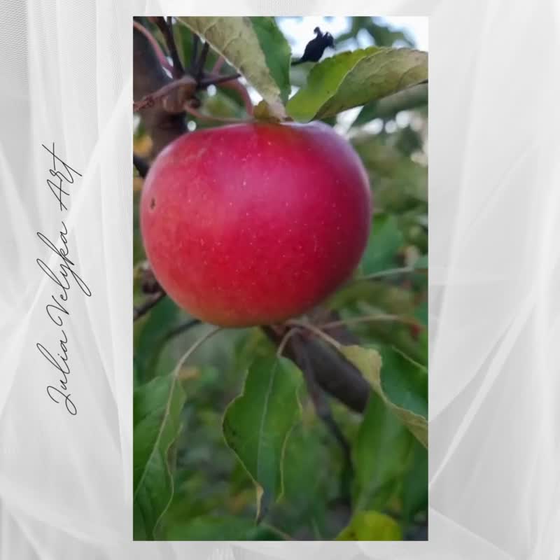 Oil Painting Original, Fruit Artwork, Red Apple in Garden, Small Impasto Decor - 牆貼/牆身裝飾 - 其他金屬 多色