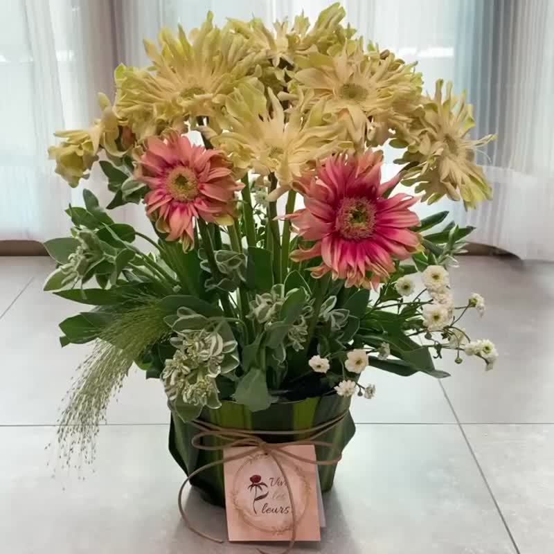 [Flower Gift for Visiting] Sun Chrysanthemum Flower Desk Flower Un Pot? - ตกแต่งต้นไม้ - พืช/ดอกไม้ สีเหลือง