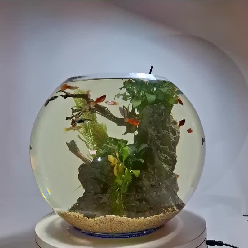 水族造景缸 12吋圓球 - 植栽/盆栽 - 玻璃 