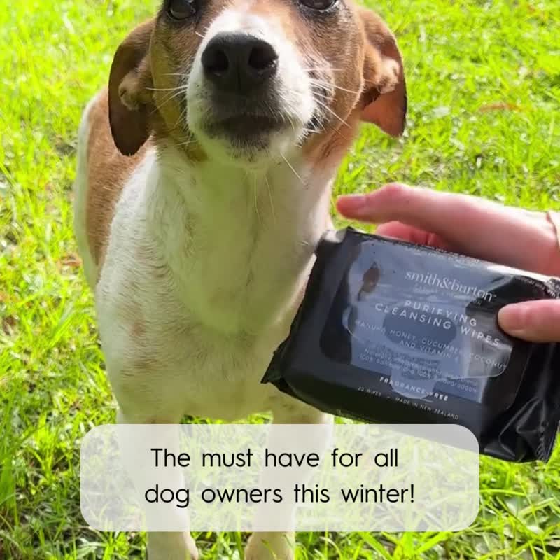 【期間限定セール】smith&burton ペット用ウェットティッシュ 20枚入り (犬猫兼用) - グルーミング - サステナブル素材 