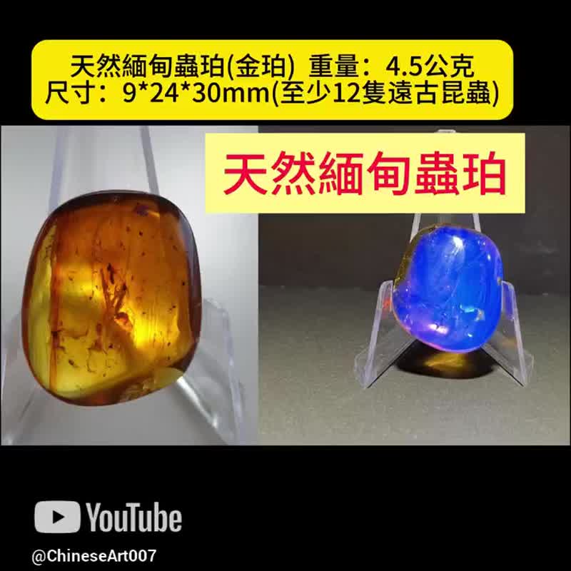 Natural Burmese Amber Insect Amber 4.5g Amber Gold Amber Raw Stone Amber Cretaceous Time Capsule - พวงกุญแจ - เครื่องประดับพลอย สีทอง