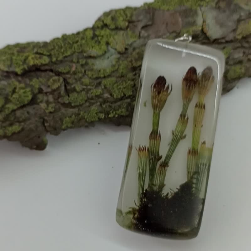 Horsetail pendant Crystal resin necklace with horsetail Forest jewelry 生日禮物 項鍊 - Necklaces - Resin Green