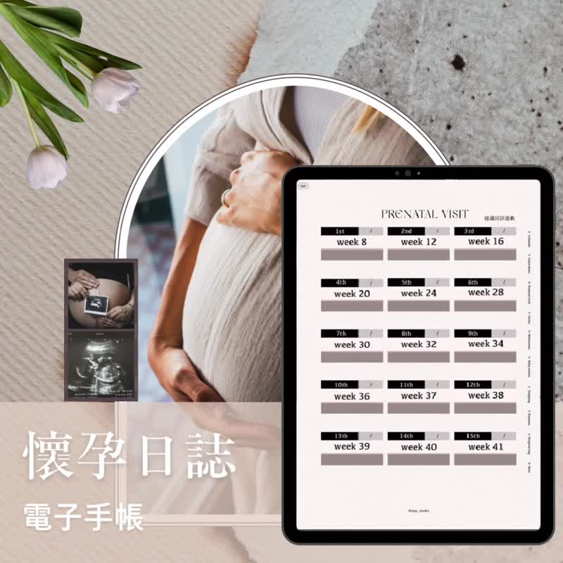 懷孕日誌 I 電子手帳 I 母嬰 I 孕期紀錄 - 電子手帳及素材 - 其他材質 