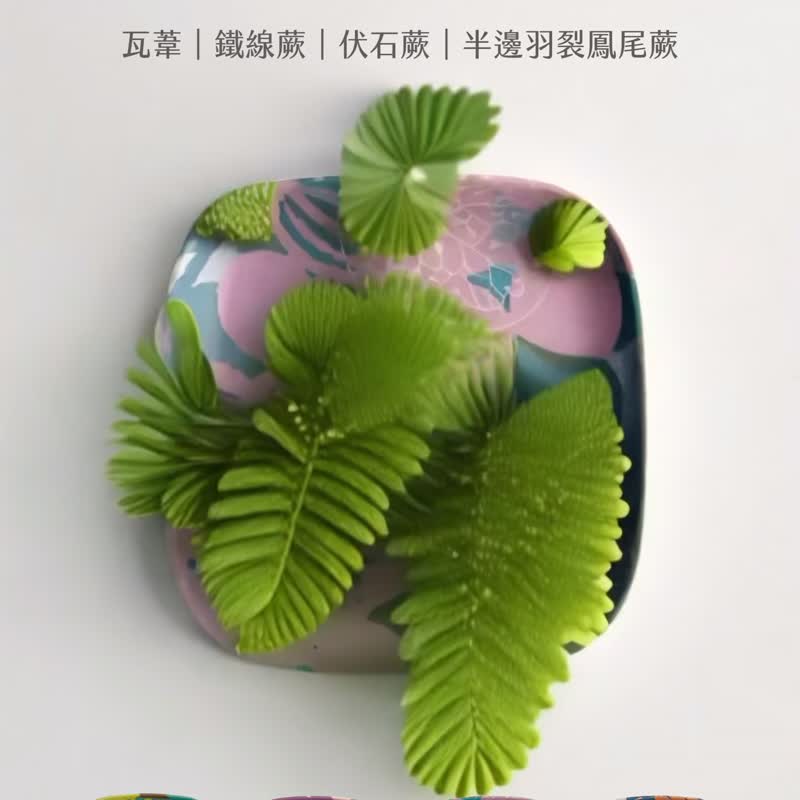 Fern Pattern Bamboo Fiber Small Plate 4.0 - Asplenium prolongatum Hook. - จานและถาด - วัสดุอีโค สีเขียว