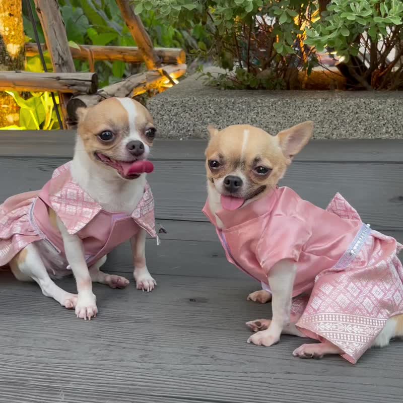 ペットのタイの衣装犬服猫服ペットドレス - 洋服・帽子 - シルク・絹 ピンク