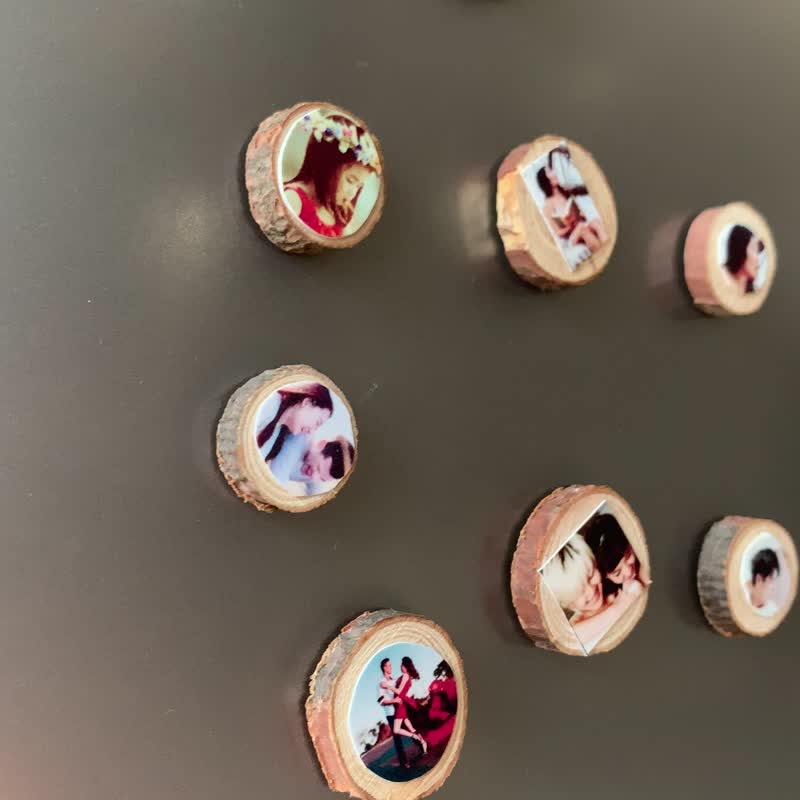 Customized Refrigerator Wood Chip Refrigerator