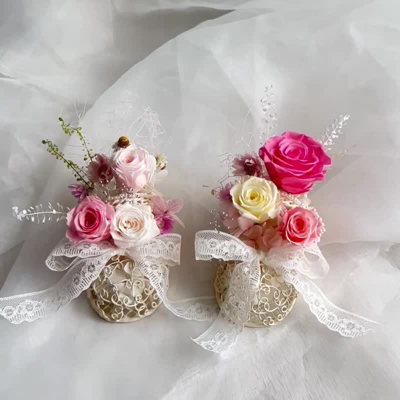 永生盆花-親親寶貝baby shoes - 乾燥花/永生花 - 植物．花 