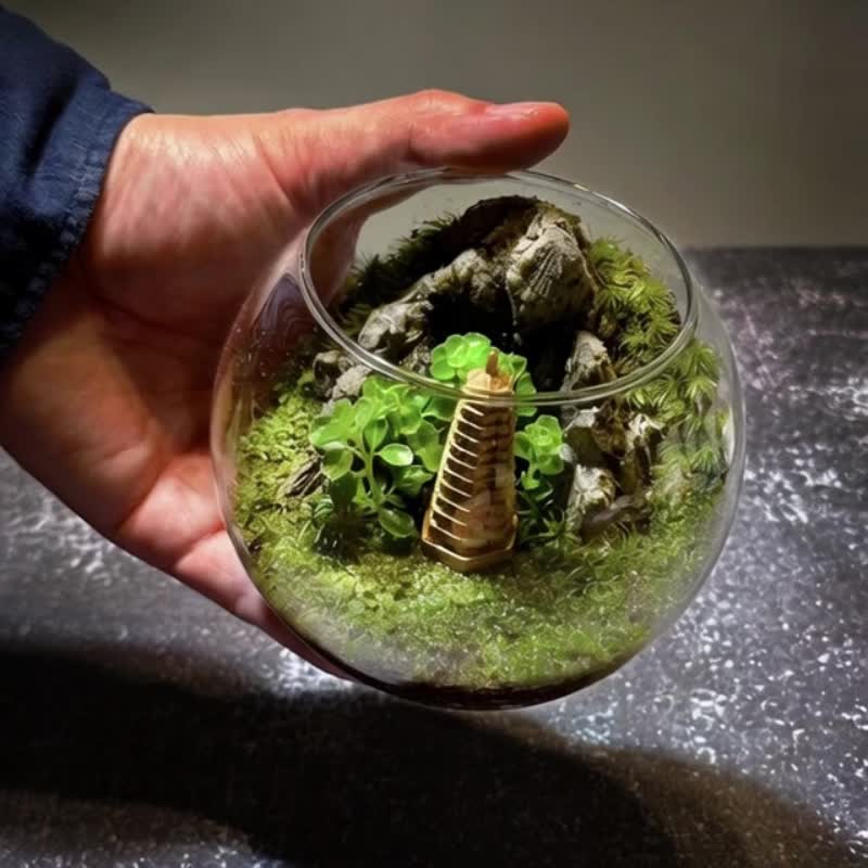 浮圖如光 / 主題性客製化造景生態盆 - 植物/盆栽/盆景 - 植物．花 