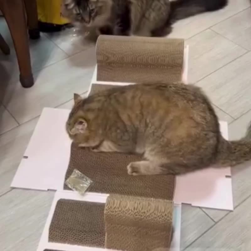 ハミルトンコレクション 猫の置物 ブラックキャット割れ物ではありません 証明書付 The Hamilton Collection Collectible Cat Figurines for sale