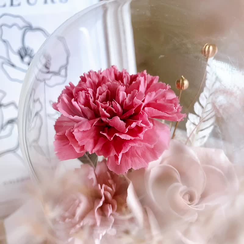 (Customized) Preserved Flowers Dried Flowers Mother’s Day Preserved Carnation Gift Flower Glass Cover - ช่อดอกไม้แห้ง - พืช/ดอกไม้ สึชมพู
