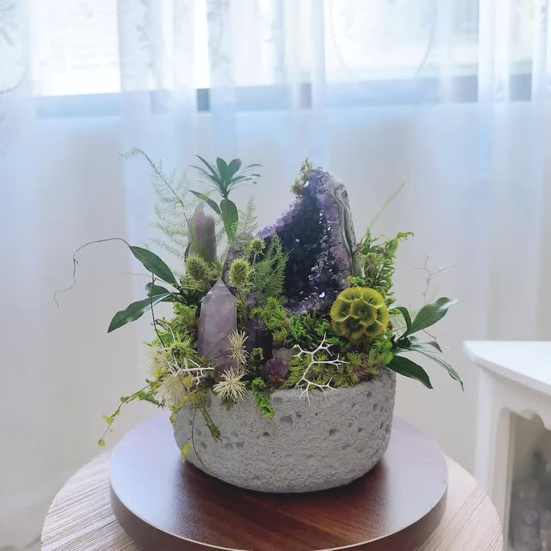 豐城曠野紫水晶森林。永生葉材綠植栽 - 植栽/盆栽 - 水晶 紫色