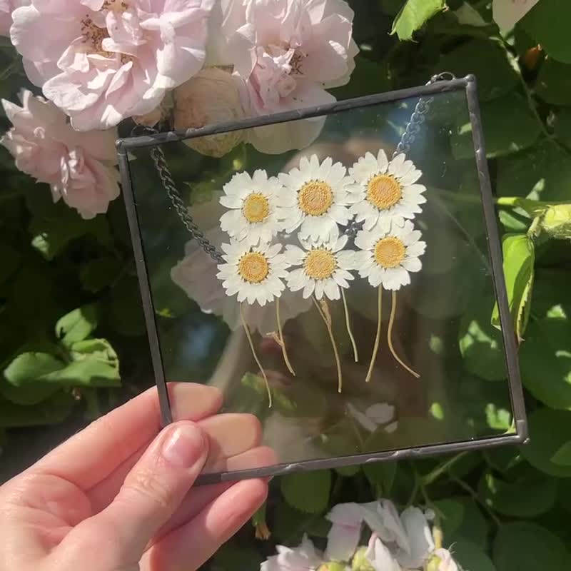 玻璃框中壓花雛菊 | 手作花藝 - 牆貼/牆身裝飾 - 玻璃 黃色