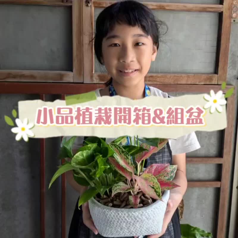 CinnaGreen new green recycling gardening media combination potted DIY material package - จัดดอกไม้/ต้นไม้ - พืช/ดอกไม้ 