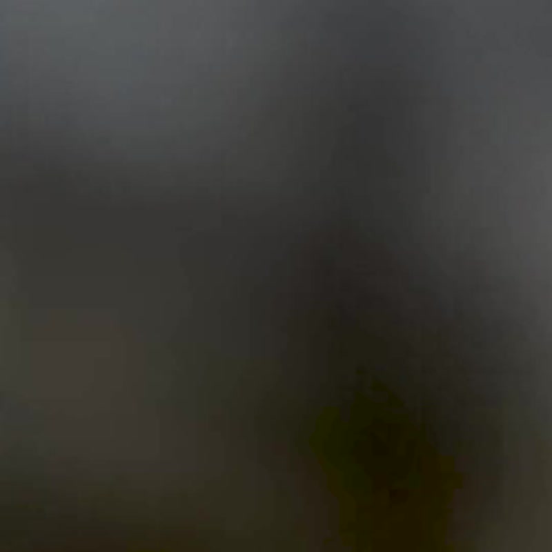 silkmaster ×Mari Tomita   Skateboards - โปสเตอร์ - ไม้ หลากหลายสี