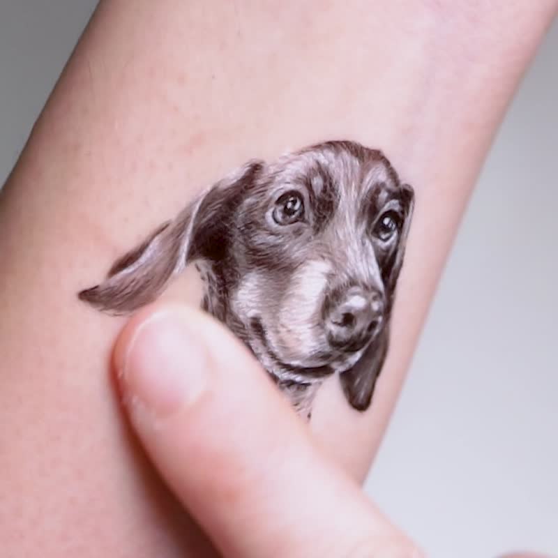 臘腸狗 達克斯獵犬 紋身貼紙 水印貼 刺青 狗仔頭像插畫 寵物玩具 - 紋身貼紙/刺青貼紙 - 紙 黑色