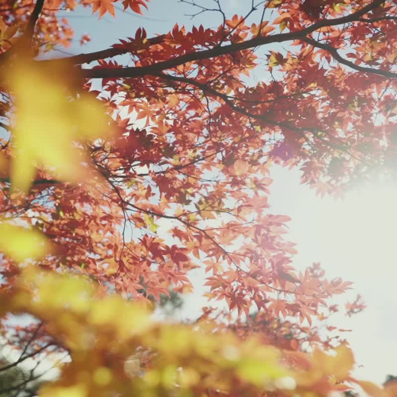 【日系穿搭必備】紅莓果子-和風御守布袋 側背包/斜孭袋 - 側背包/斜背包 - 棉．麻 