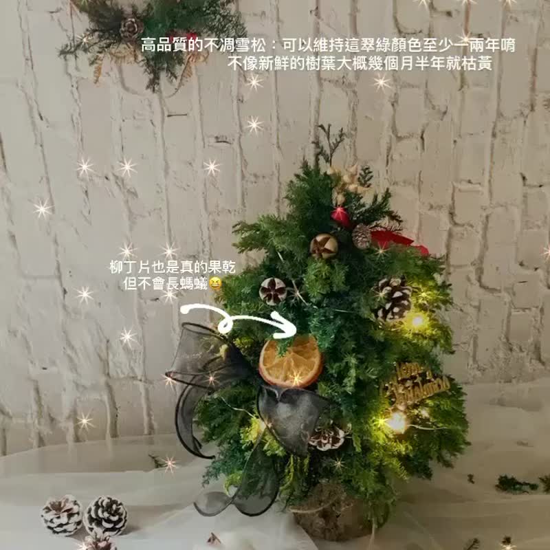 花事365限定- 熱銷 聖誕花藝課程 不凋胖胖聖誕樹 聖誕禮物 - 植栽/花藝 - 植物．花 