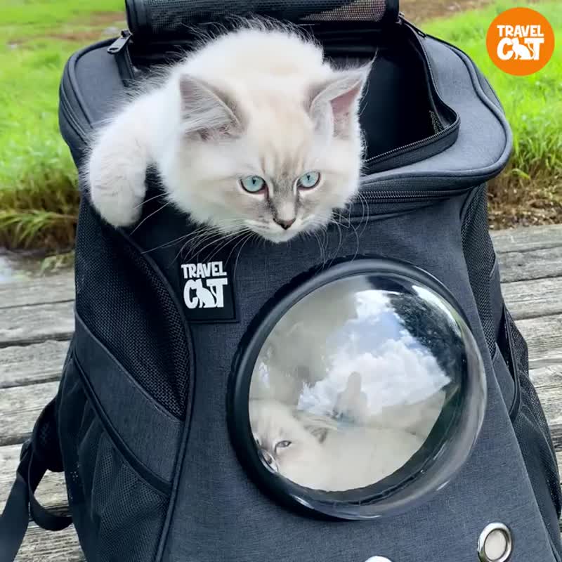 diesel バッグ 猫 ディーゼル‟白猫”プリントのゲームコントローラー型ショルダーバッグ