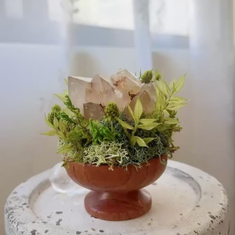 馬達加斯加 蓮花骨幹水晶。水晶原礦 永生桌面小植栽 - 盆栽/植栽 - 水晶 白色