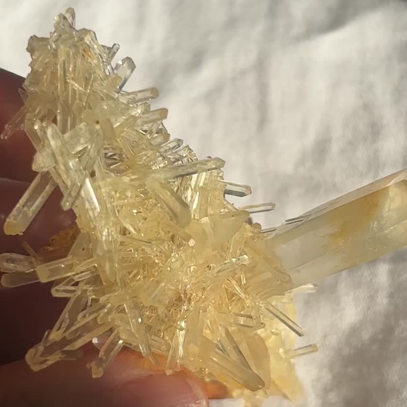 高質 哥倫比亞 黃金利姆利亞 黃兔毛共生 雷姆利亞 白水晶簇 水晶 - 擺飾/家飾品 - 水晶 黃色