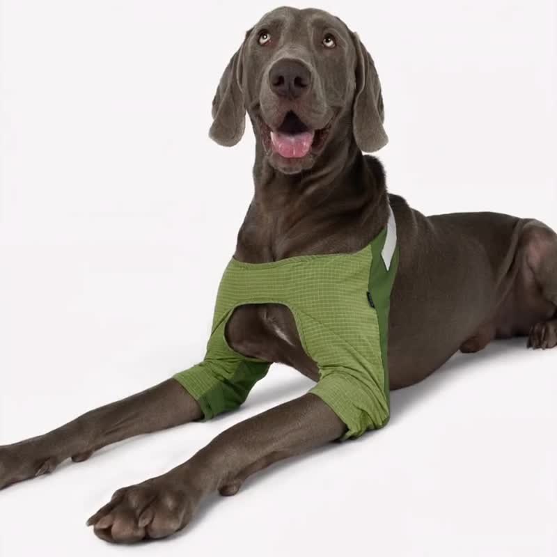 bump up【Elbow Pad】寵物狗狗中大型犬護肘衣服時尚輕薄透氣 - 寵物衣服 - 尼龍 綠色