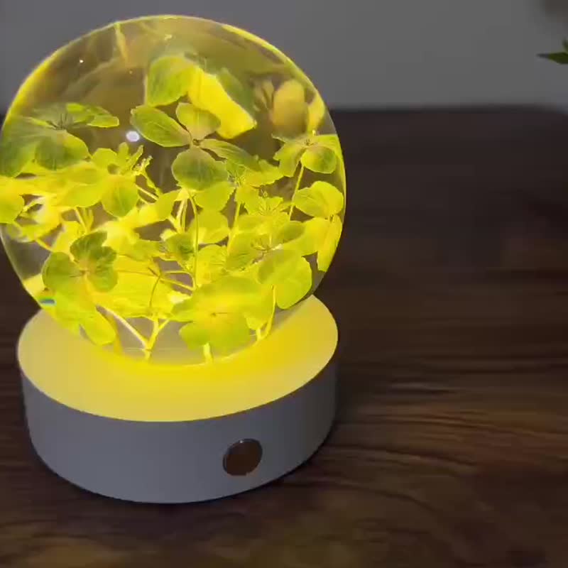 綠繡球花樹脂真花水晶球夜燈 - 擺飾/家飾品 - 樹脂 綠色