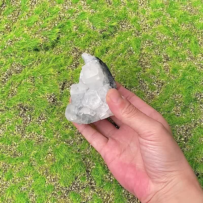 天然原礦療癒鑽石魚眼石  釋放負面磁場 提升洞察力 快速出貨 - 擺飾/家飾品 - 水晶 白色