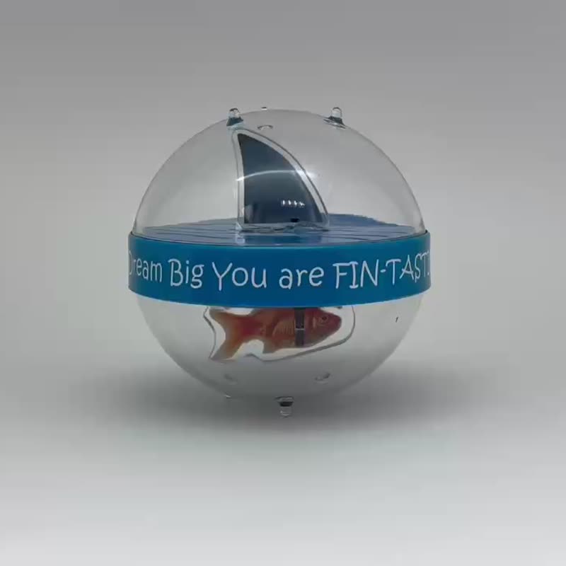 【夏日海洋】你是鯨魚還是金魚/社畜勵志沙漏-2 - 擺飾/家飾品 - 壓克力 